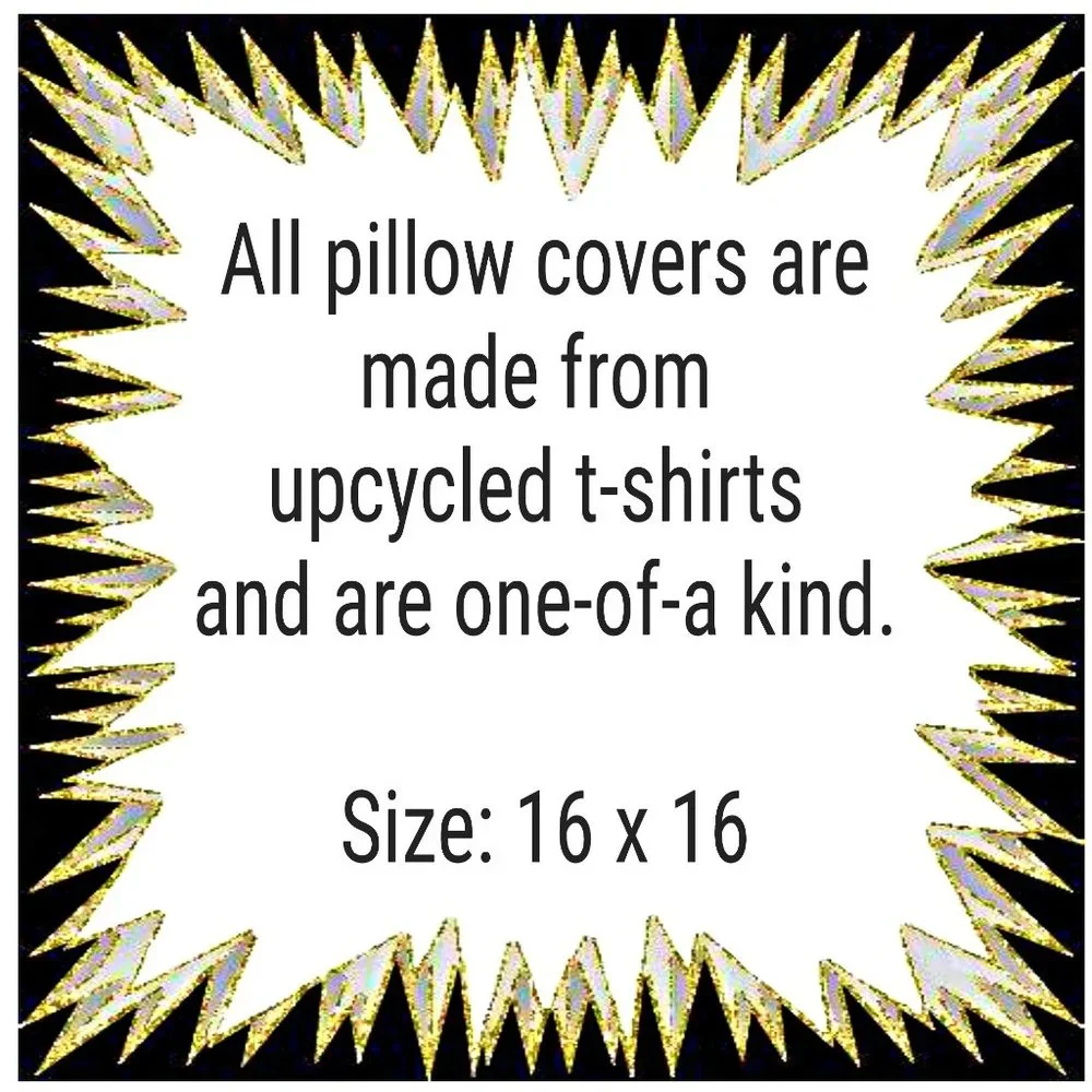 Bradley University Braves Handmade upcycled t-shirt 16 x 16 throw pillow cover